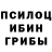 Псилоцибиновые грибы Psilocybine cubensis Khasen Erasyl