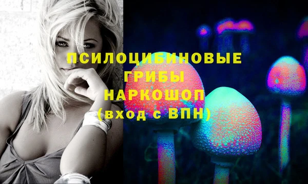 меф Богородицк