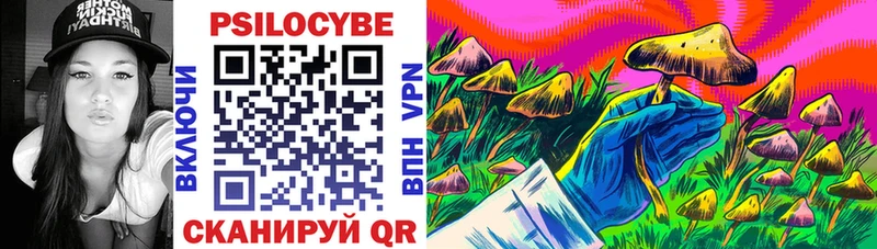 купить наркотики сайты  Белореченск  Псилоцибиновые грибы Cubensis 