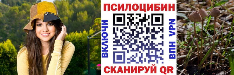 Псилоцибиновые грибы прущие грибы Белореченск