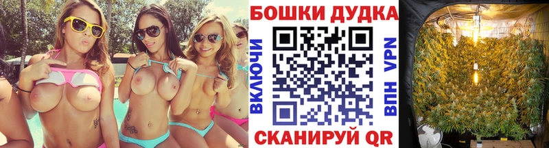 blacksprut онион  Белореченск  Шишки марихуана тримм 